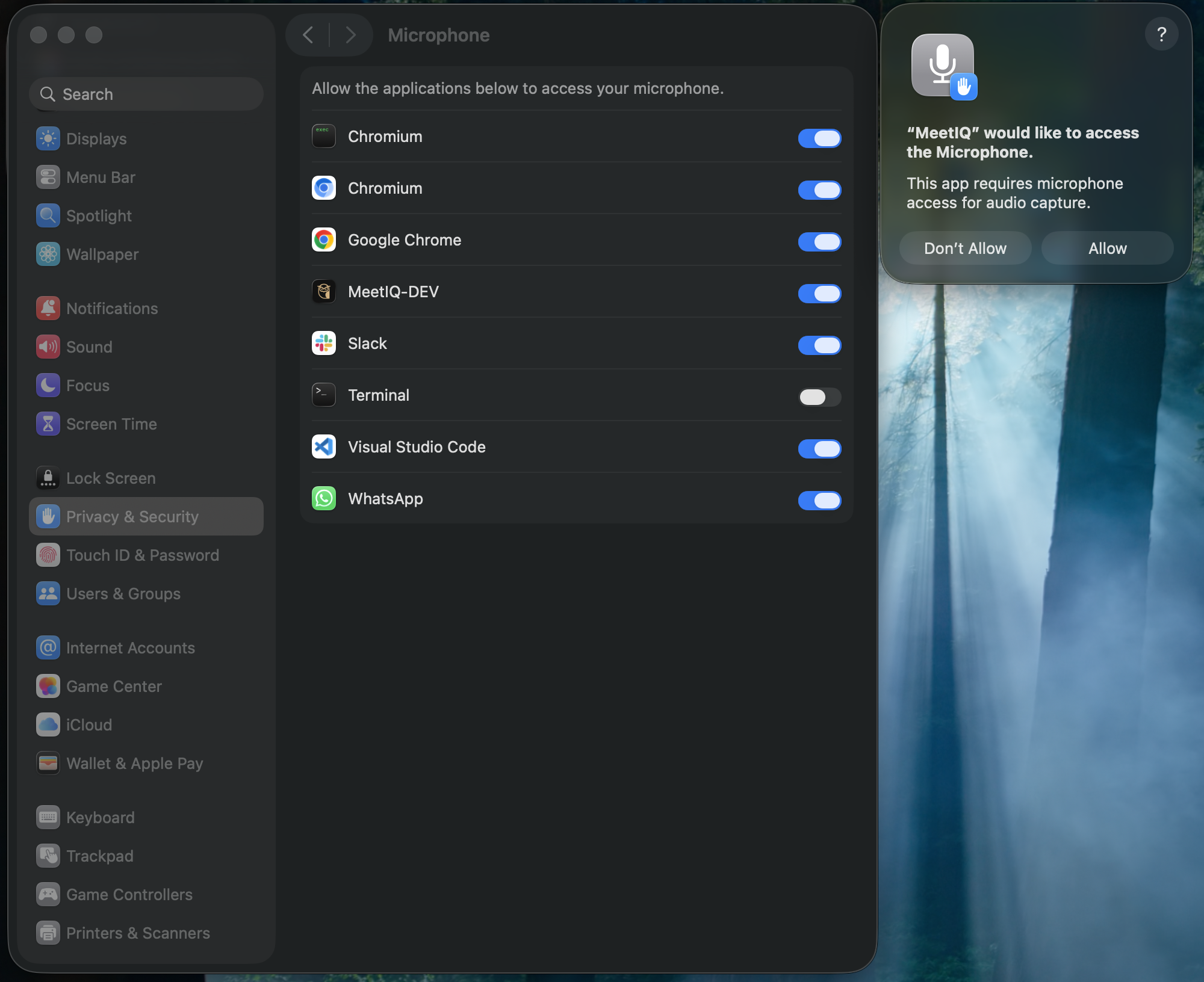 macOS microphone permission prompt.