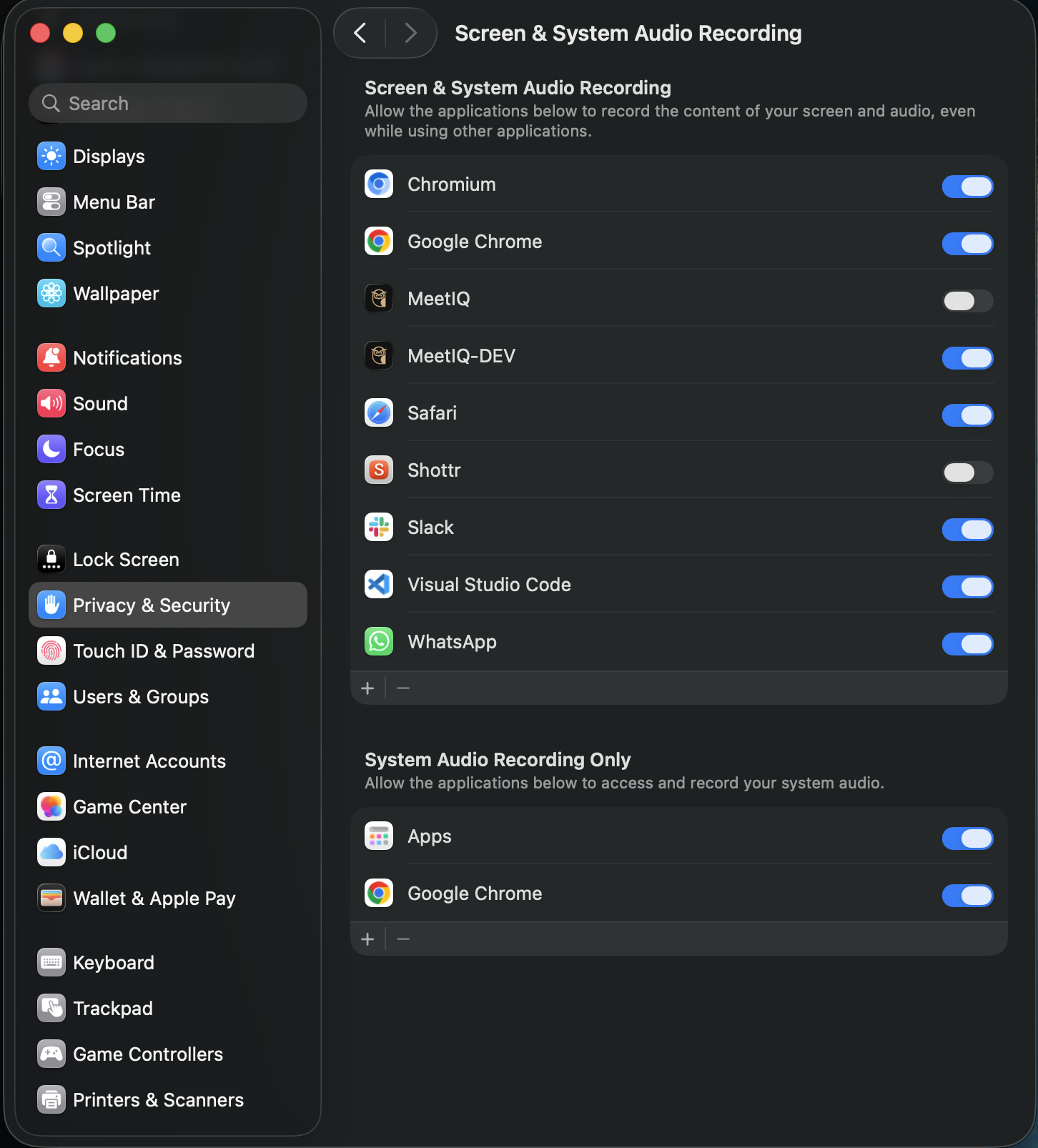 The Screen & System Audio Recording toggle in System Settings, still off.
