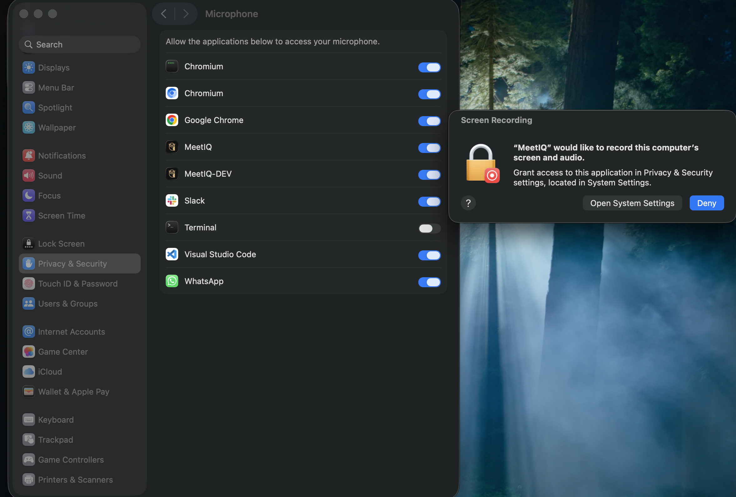 macOS screen and system-audio permission prompt.